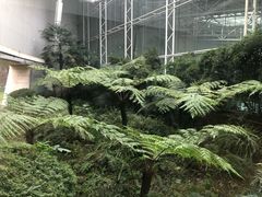 景点-金沙遗址博物馆