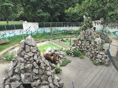 -成都动物园