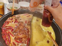 -朱光玉火锅馆(正弘城店)