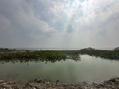-七的湖·晚芳亭·阳澄湖农家菜·大闸蟹(莲花岛店)