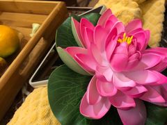 -富侨养生(康乾店)