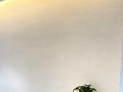 -诺贝尔一诺口腔医院(雁塔院区)