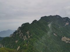 -王顺山国家森林公园