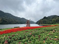 -广州市石门国家森林公园