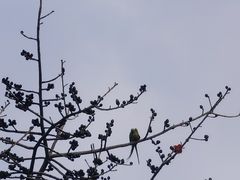 -广州雕塑公园