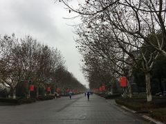 -东华大学(松江校区)