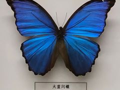 -汕头市博物馆