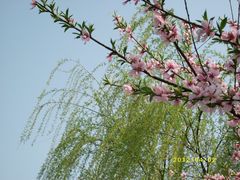 景点-蠡湖大桥公园