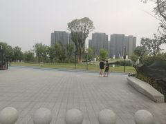 -金沙湖公园