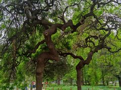 -国家植物园南园