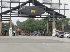 -荷塘月色湿地公园·向阳花洲