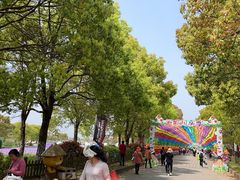 -上海都市菜园