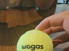 -Wagas沃歌斯(合生汇店)