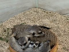 -海合安武汉极地海洋公园