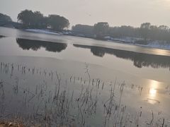 -大兴滨河森林公园