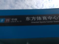 -东方体育中心(地铁站)