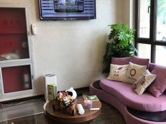 -宠爱国际动物医院·消化内科·心肾内科·ISFM猫友好(望京店)