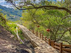 -锄山村