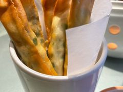臭豆腐春卷-佬肥猫(国华广场店)