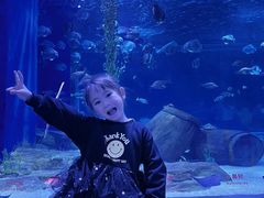 -顺德南宏海立方海洋公园