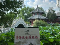 -莲池书院博物馆