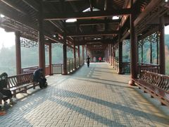 -重庆彩云湖湿地公园