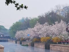 -海棠花溪(元大都城垣遗址公园)