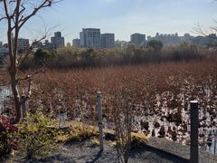 -上野公园花园稻荷神社(忍岡稲荷神社)