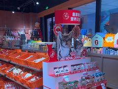 -MARSMART PETS火星宠物超市(1733店)