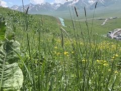 -新疆那拉提国家旅游度假区