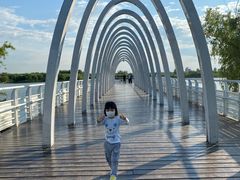 -大兴滨河森林公园