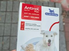 -博特宠物医院24h犬猫全科.骨科·异宠