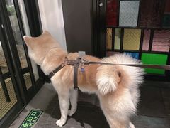 -BOCATA 西班牙餐厅(三里屯店)