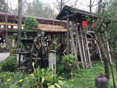 -青城甲(青城山店)