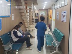 -米苏动物医院·犬猫专科·骨科外科内窥镜