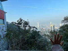 -太平山顶