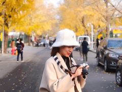-三里屯东五街银杏大道