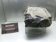 -甘肃地质博物馆