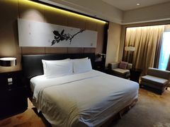 -成都保利公园皇冠假日酒店(熊猫基地店)