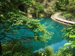 -庐山碧龙潭风景区