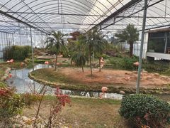 -无锡动物园·太湖欢乐园