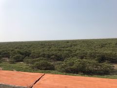 -北海金海湾红树林生态旅游区