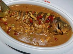 红烧黄河大鲤鱼-阿五黄河大鲤鱼(纬三路店)