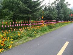 -横道河子东北虎林园