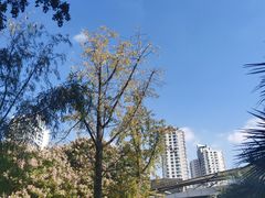 -苏州河梦清园环保主题公园