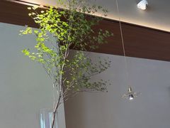 -东园小馆·早茶·淮扬小炒(印象汇店)