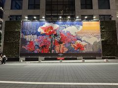 -涩谷区