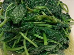 地瓜叶-鹿港小镇(金虹桥国际中心店)