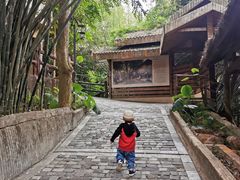 -海南槟榔谷黎苗文化旅游区