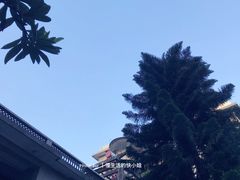 -微饮cafe